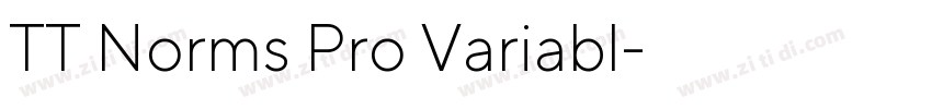 TT Norms Pro Variabl字体转换